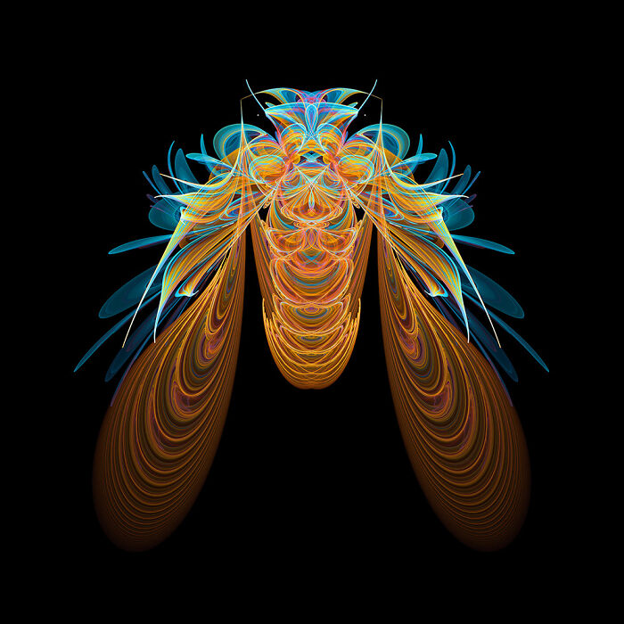 Insect Art Made With Fractals (12 Pics)