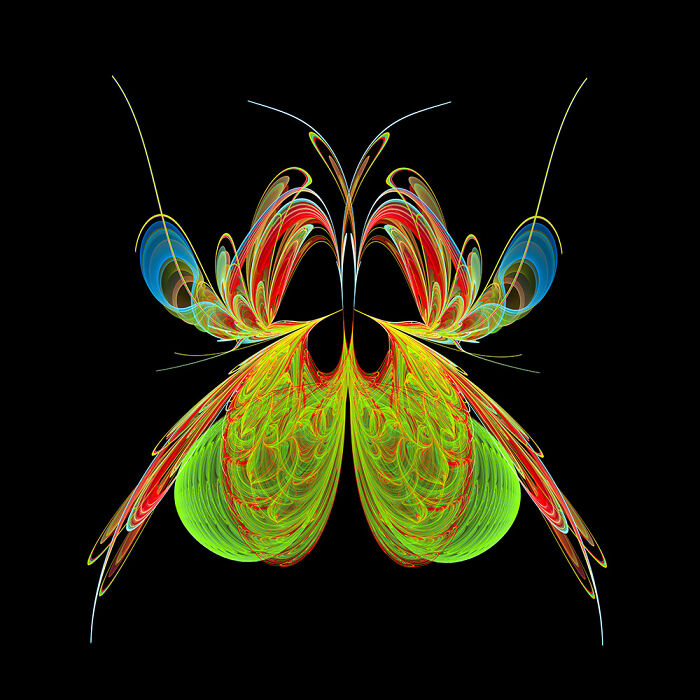 Insect Art Made With Fractals (12 Pics)
