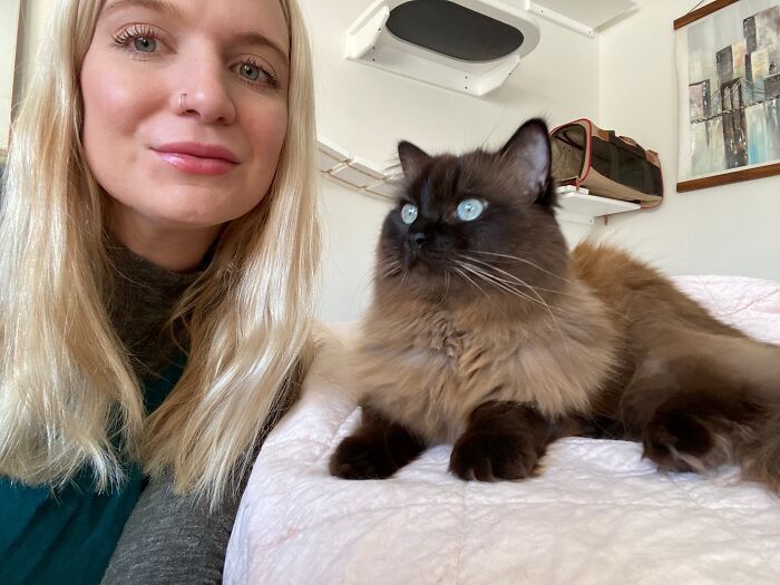 Woman Saves Almost $30K By Taking Care Of People's Cats While Traveling