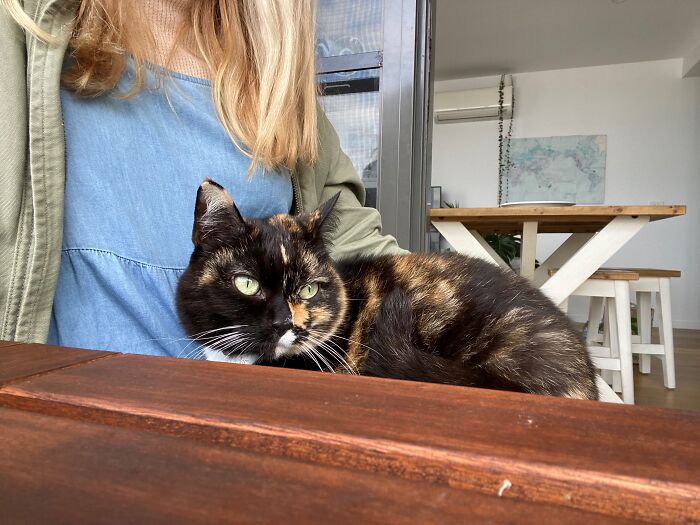 Woman Saves Almost $30K By Taking Care Of People's Cats While Traveling