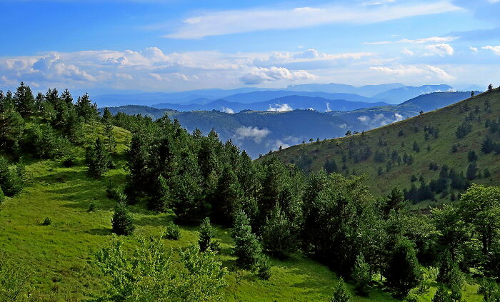 Mount Tara - Serbia, Summer 2018