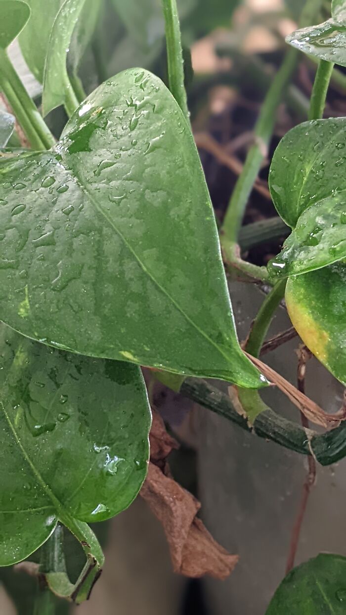 Some Amateur Photography