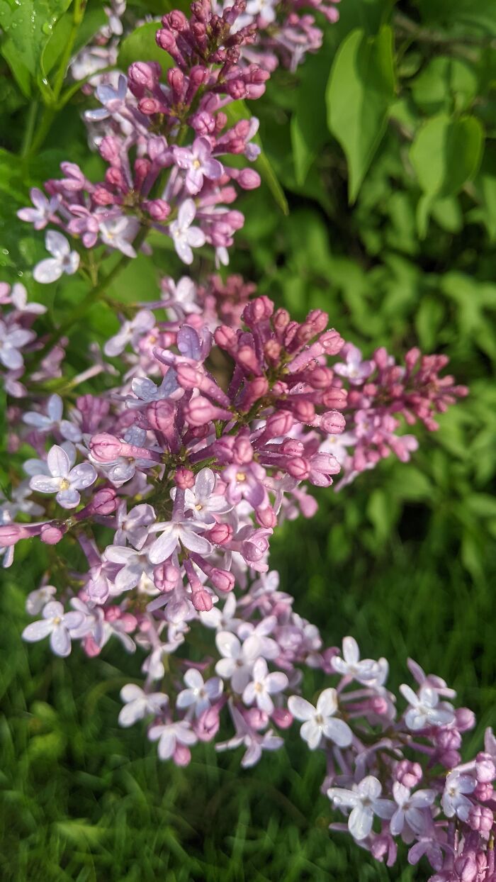 Some Amateur Photography