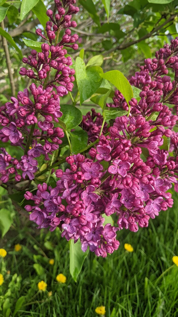 Some Amateur Photography