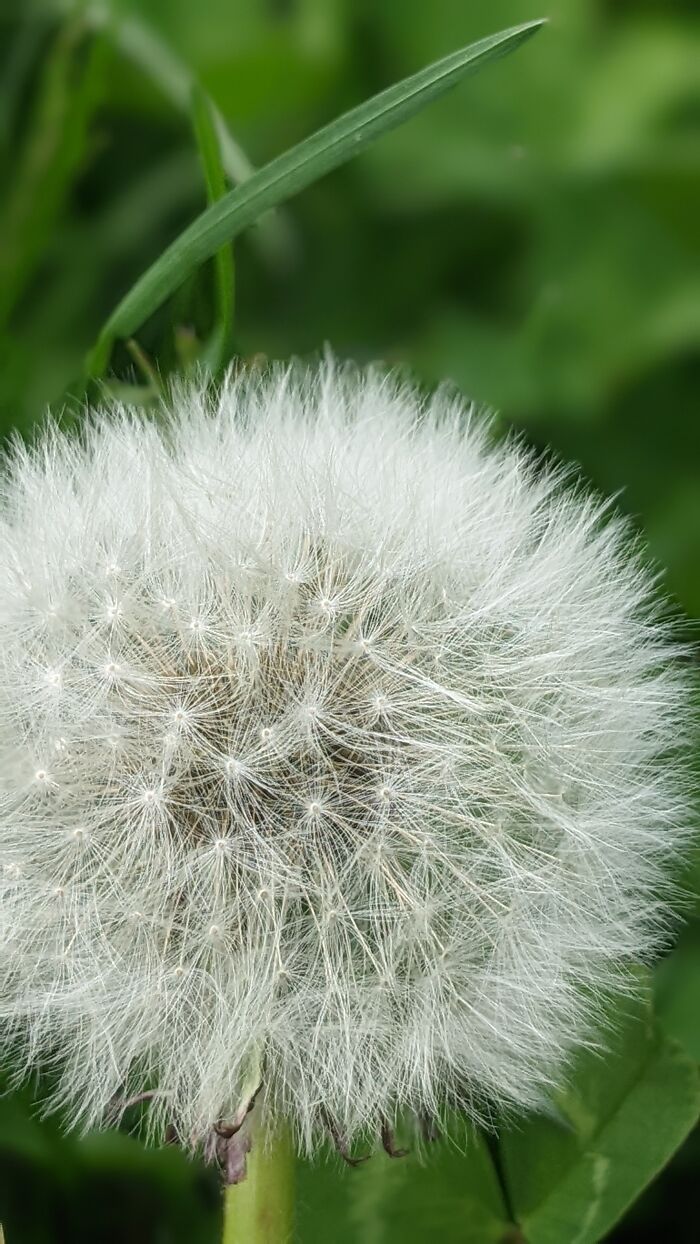 Some Amateur Photography