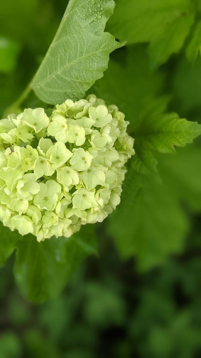 Some Amateur Photography