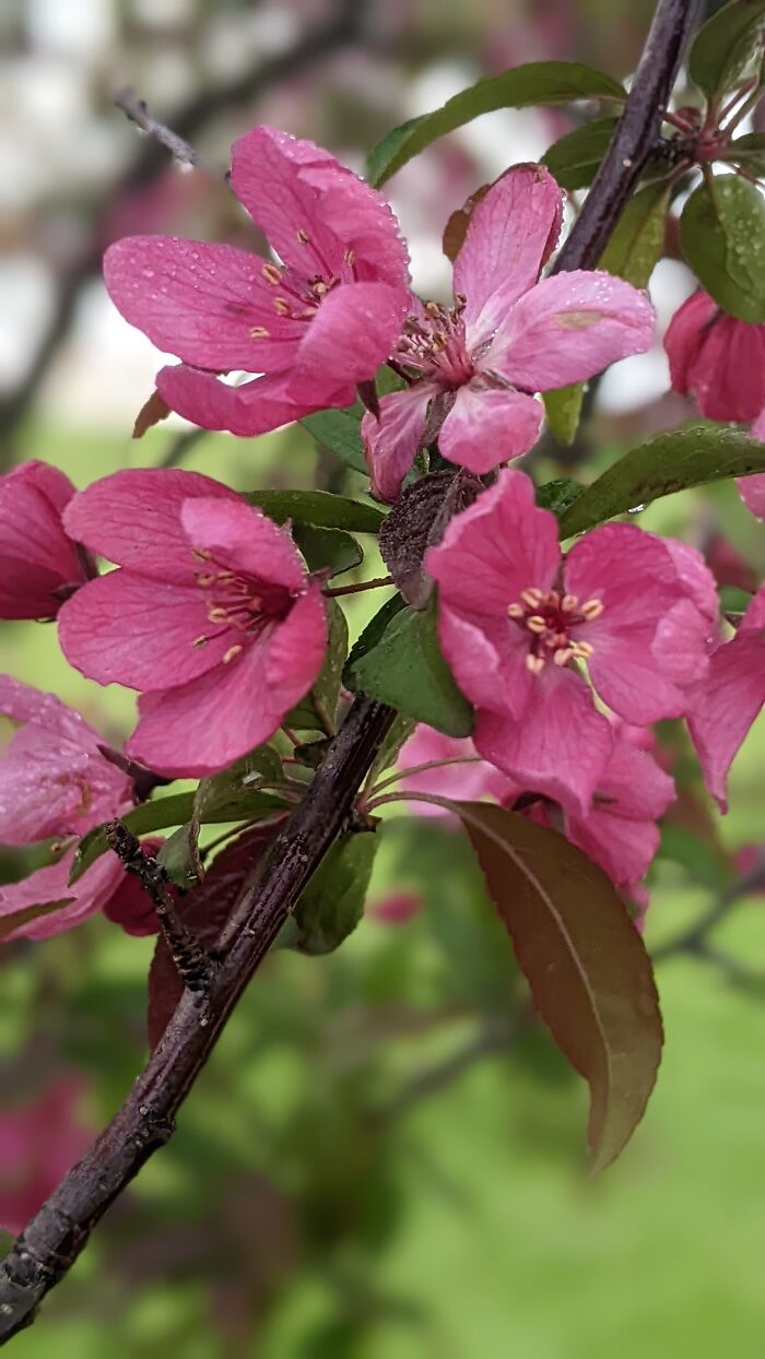 Some Amateur Photography