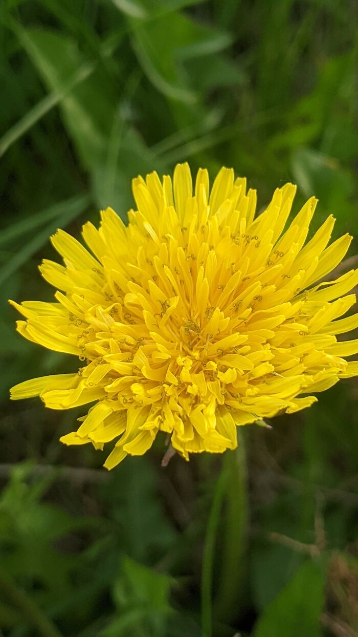 Some Amateur Photography