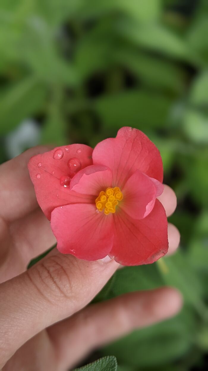 Some Amateur Photography