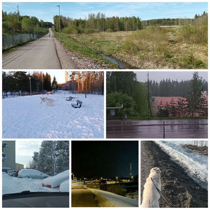 I Couldn't Decide, So Here's A Collage From This Winter And Spring