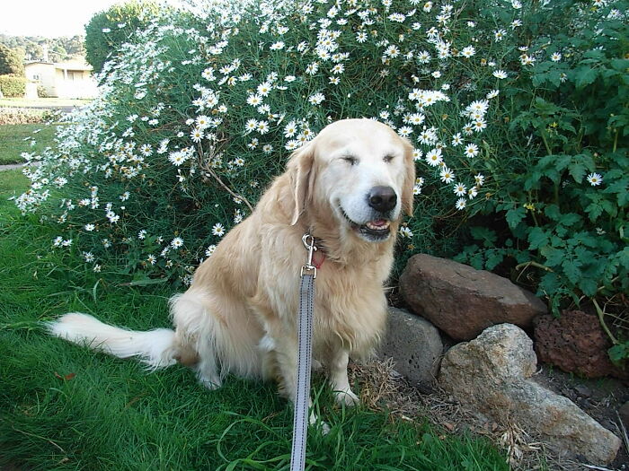 Hi. I'm Honey And My Mom Fell On Her Backside.