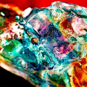 sophiagraubart avatar