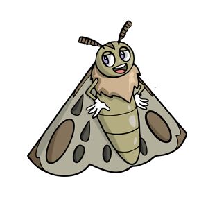 shakya-nirvanasn avatar