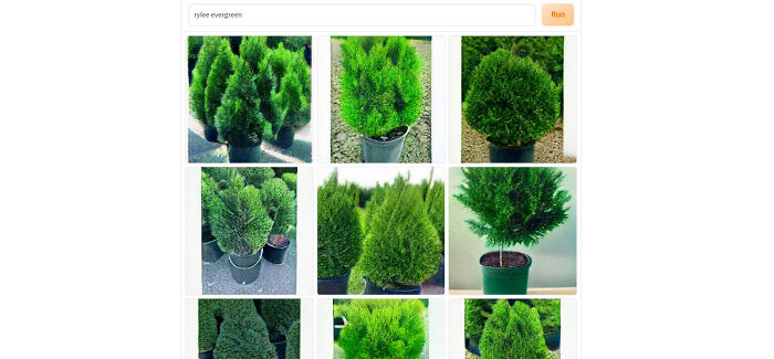 Not As Unhinged As Some Of The Others Here, But Nevertheless-