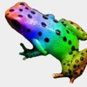 kaitlynschweitzer avatar