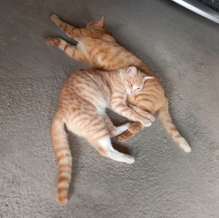 Loving Couple Seeking Third Member For A One Night Stand. Serious Inquiries Only!!