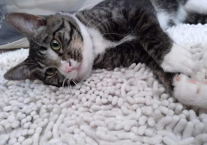 Peg - Will Gift You As Many Garden Snakes As Possible. Is Tired Of His Little Brother's Bs. Uses His Free Time To Explore The Outdoors, Or Stare Into The Void.