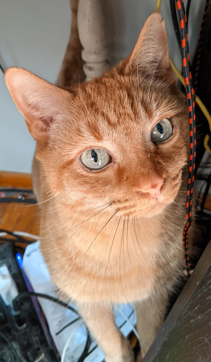 Look Into My Eyes, They Are Calling For You ❤️