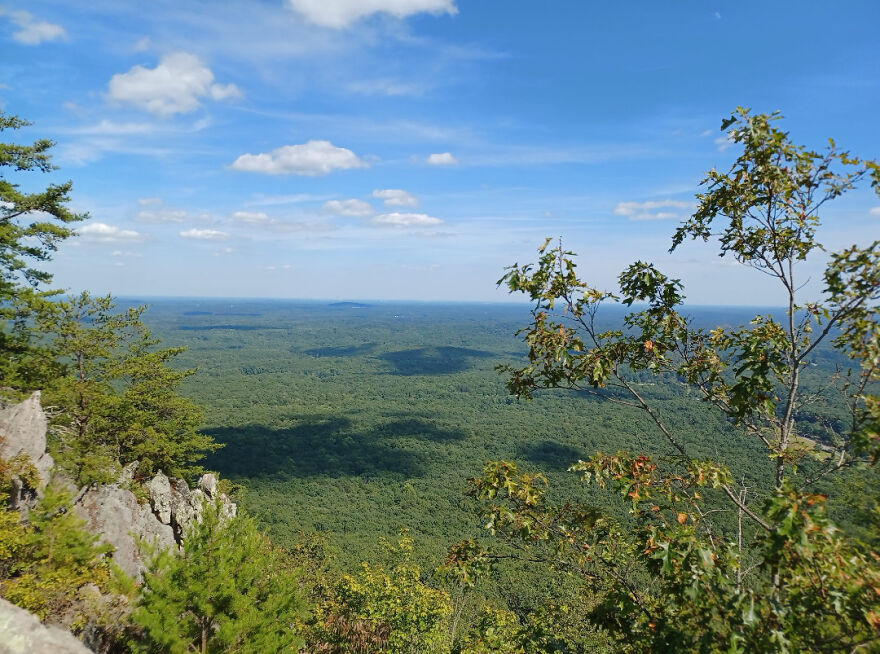 Near The Top Of Crowders Mountain In Nc.