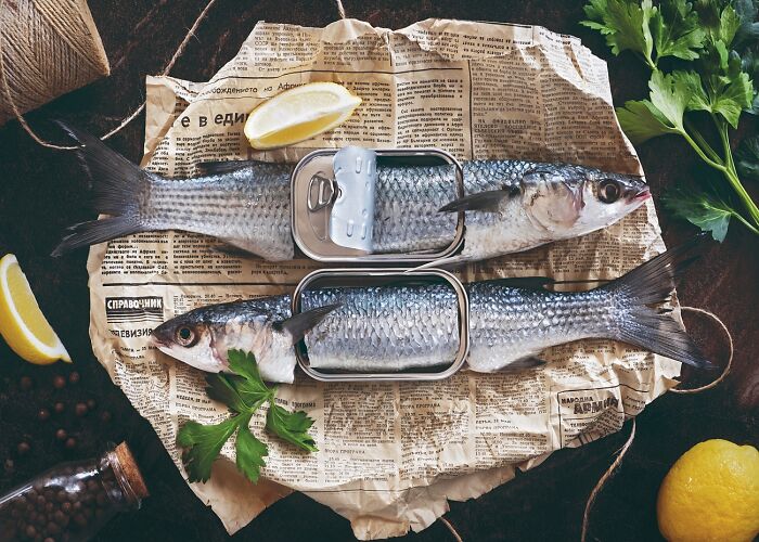 Two fresh fish and opened tin cans placed on vintage newspaper with lemon wedges and parsley leaves, powerful photography.