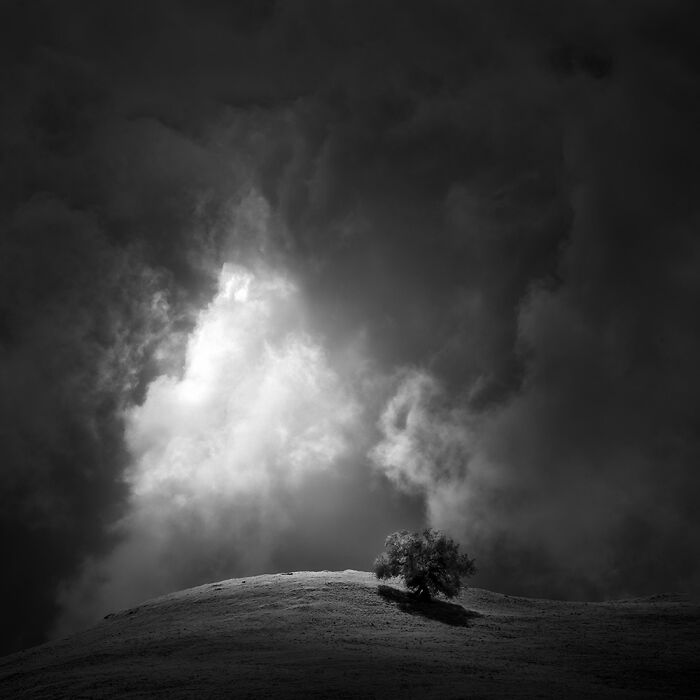Black and white powerful photography of a lone tree on a hill under dramatic, cloud-filled sky.