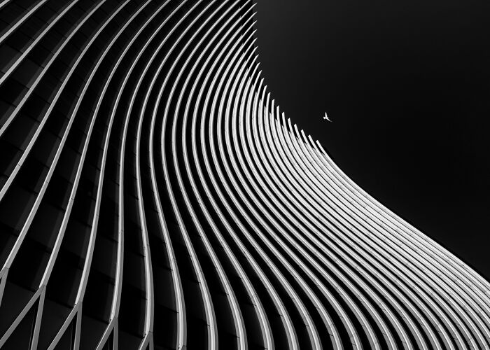 Curved modern building facade in black and white with a bird flying in the sky, showcasing powerful photography composition.