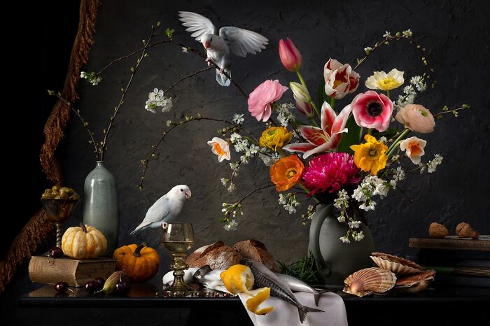 Still life with vibrant flowers, birds, fruits, and seashells showcasing powerful photography from 2022 Siena awards winners.