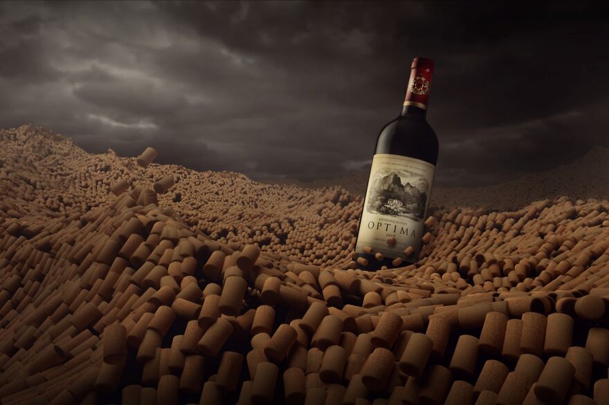Ocean Of Corks