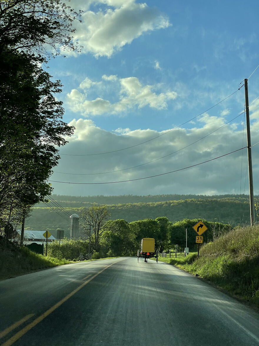 Traffic Jam On The Farm!