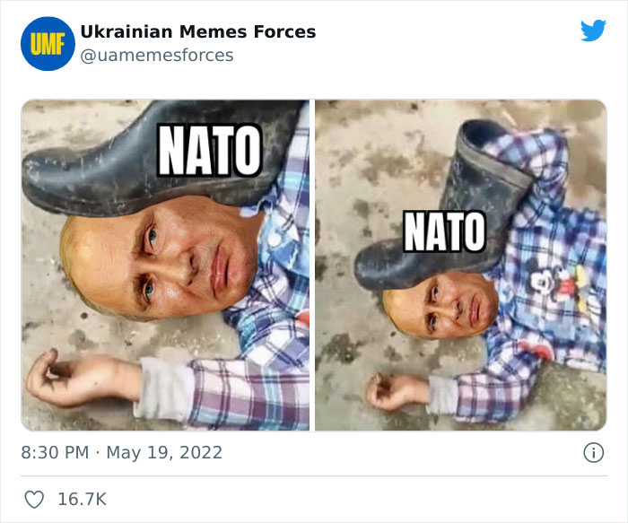 Ukrainian Memes Forces Twitter