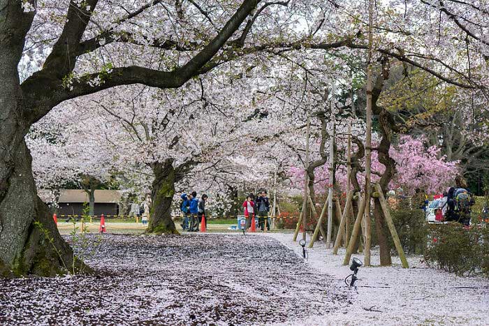 25 Cosas que nunca deberías hacer al visitar estos países, compartidas en esta comunidad online