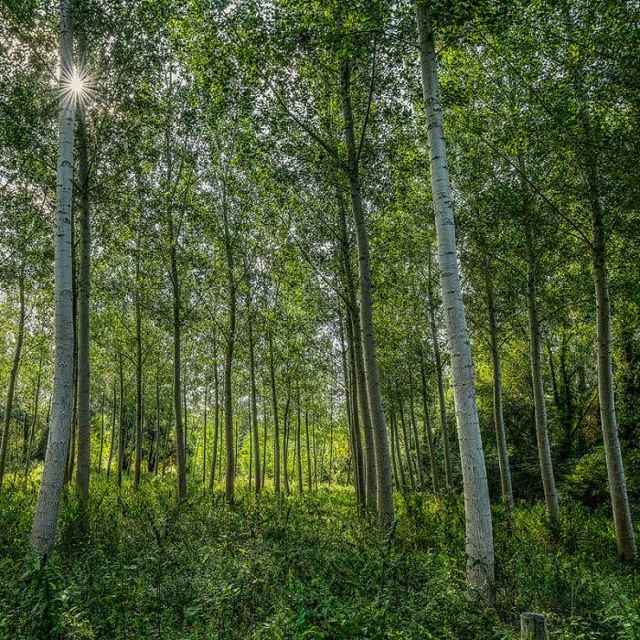 “What Is A Little-Known Fact That Can Save You From A Life-Threatening Situation?” (30 Answers)