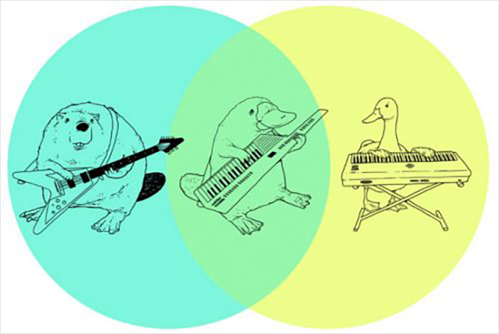 Animals playing instruments in a funny Venn diagram with a beaver, platypus, and duck.