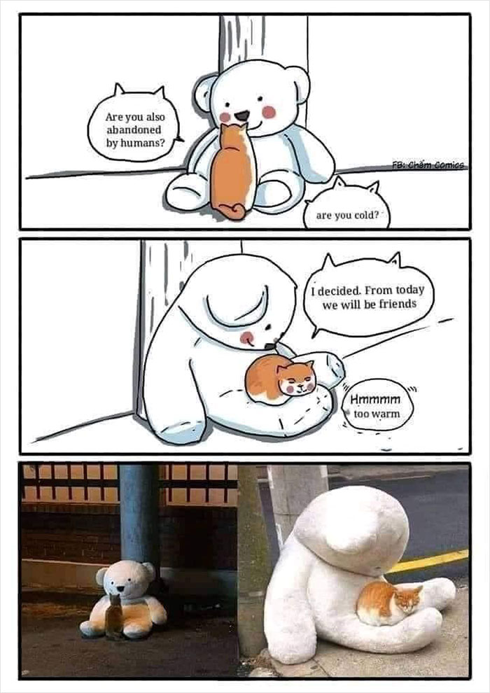 Wholesome meme of a stuffed bear and a cat bonding, with text about friendship and warmth in both comic and real-life versions.