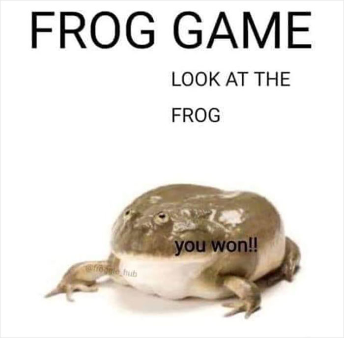 A wholesome meme featuring a frog with the text "Frog Game: Look at the frog, you won!"