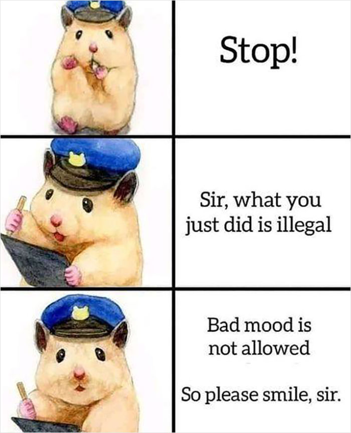 Cartoon hamster in police uniform with wholesome message to smile, reminding us the world isn't all bad.
