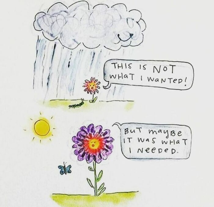 A cartoon flower under rain with text about unexpected needs, symbolizing a wholesome meme.