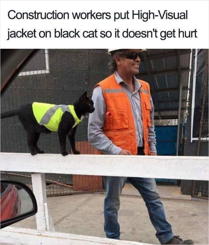 Construction worker and black cat both wearing high-visibility vests, showcasing a wholesome scene of care and safety.