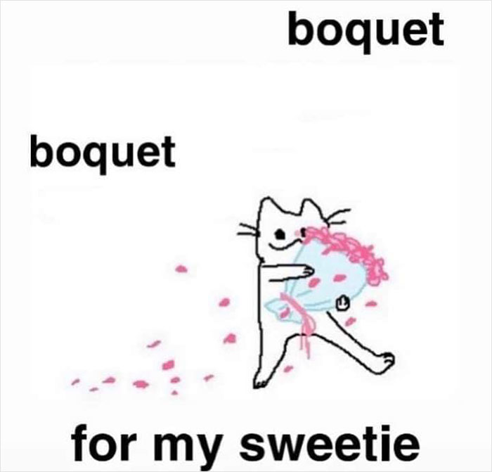 Cartoon cat with a bouquet, spreading petals, captioned "boquet for my sweetie," conveying a wholesome vibe.