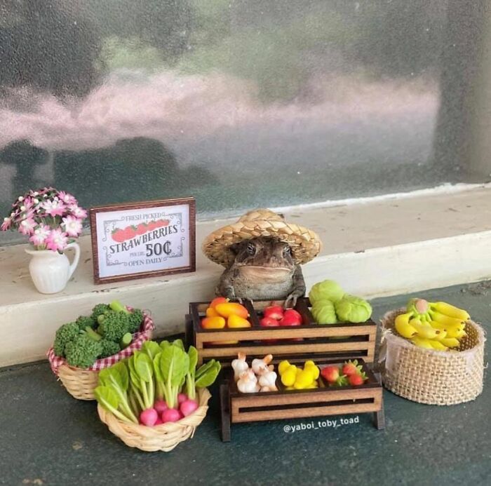 Toad in a straw hat at a miniature vegetable stand with baskets of produce, symbolizing wholesome and positive vibes.