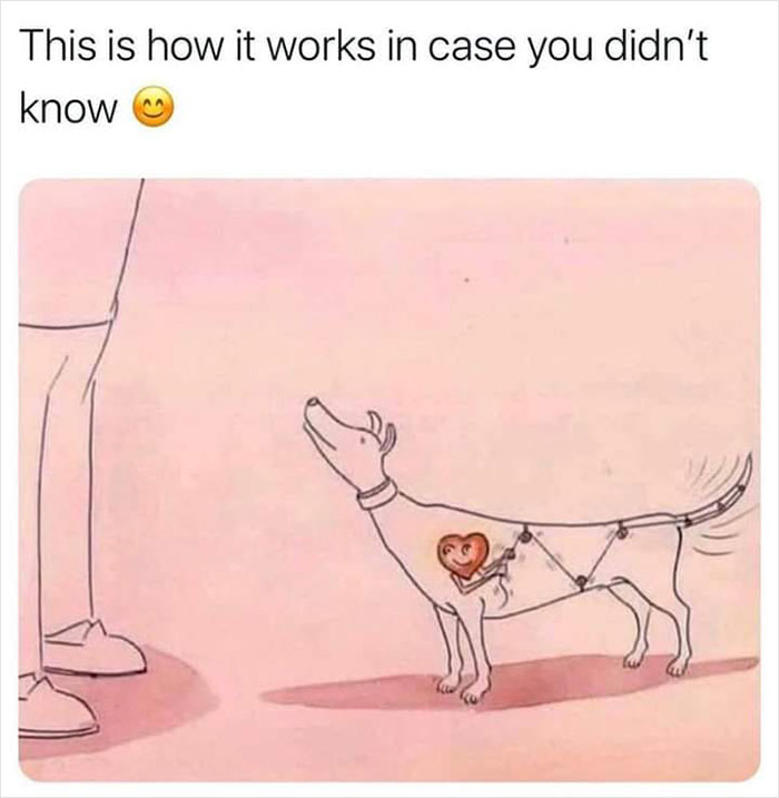 Illustration of a happy dog wagging its tail, showing a heart connected to its wagging, symbolizing wholesome actions.