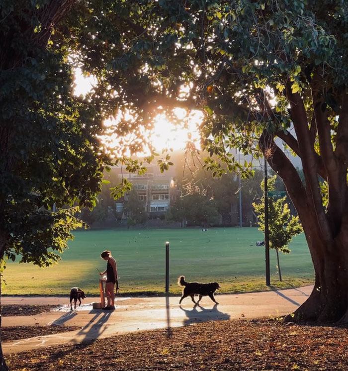 “America vs. Europe”: 30 Things That Are Common In Europe That Americans Find Very Weird