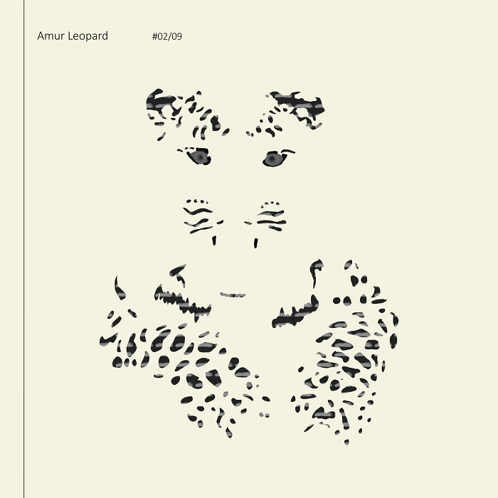 I Drew 9 Spotted Amur Leopards