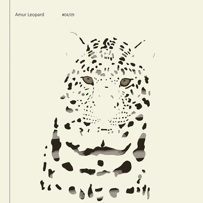 I Drew 9 Spotted Amur Leopards