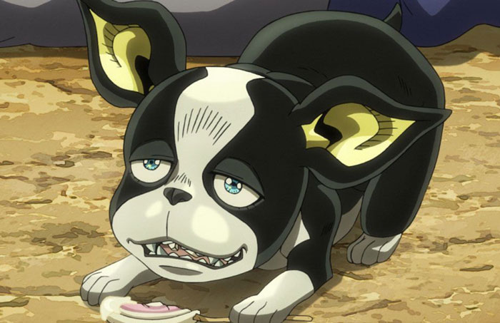 Iggy (Jojo’s Bizarre Adventure)