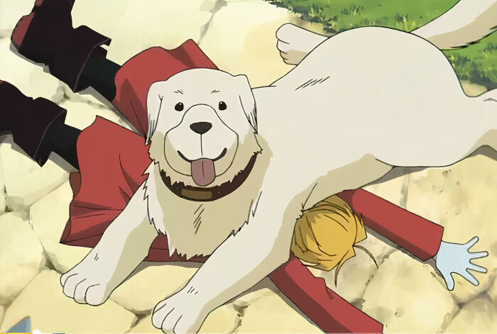 Alexander (Fullmetal Alchemist)