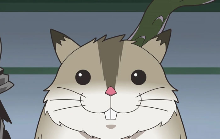 Hamsuke (Isekai Quartet)