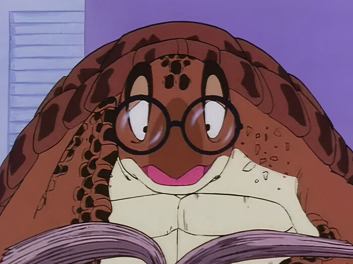 Turtle (Dragon Ball)