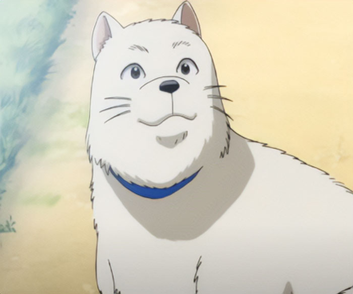 Wanpo (Hajime No Ippo)