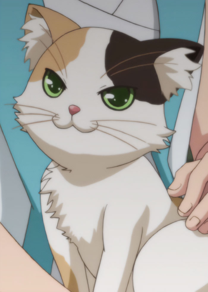 Calico (Problem Children Are Coming From Another World, Aren't They?)